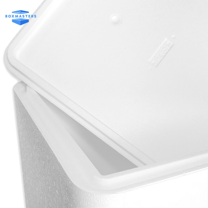 EPS Dozen EPS doos 42.2 L - 580 x 380 x 355 mm 2 EPS doos 42.2 L - 580 x 380 x 355 mm - Afbeelding 2