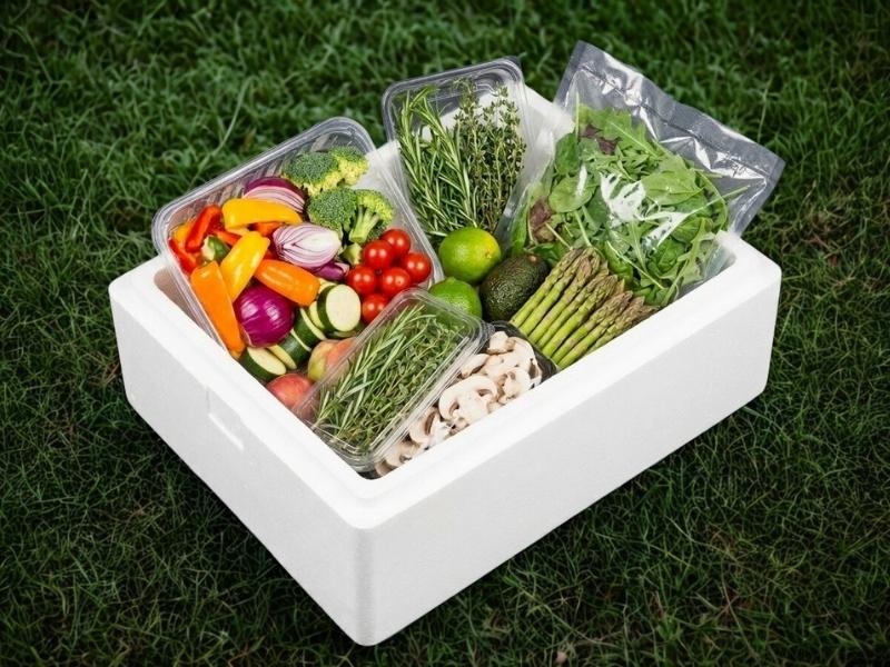 Food transport EPS dozen